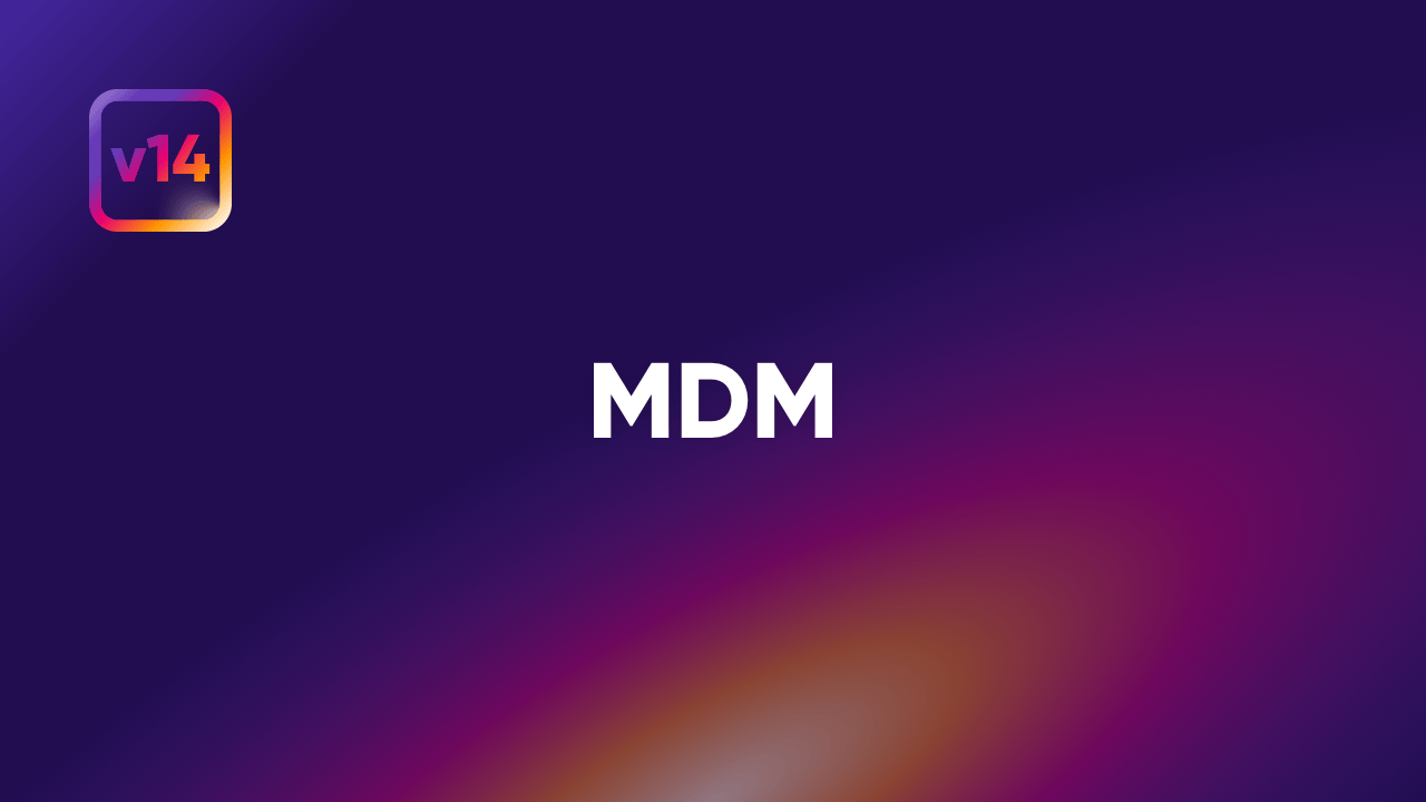 Webinar Master Data Management