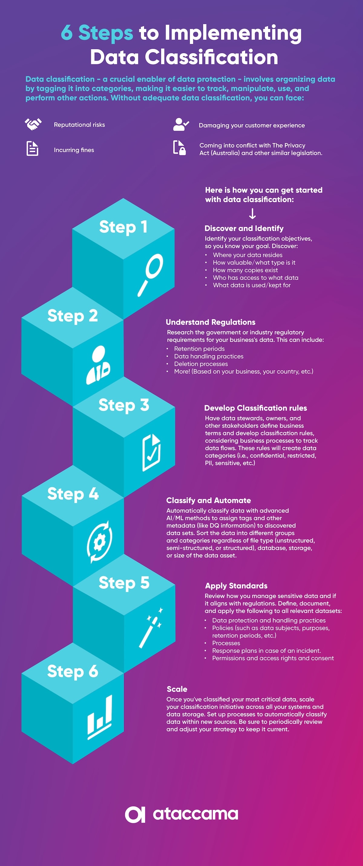 Data Classification Infographic