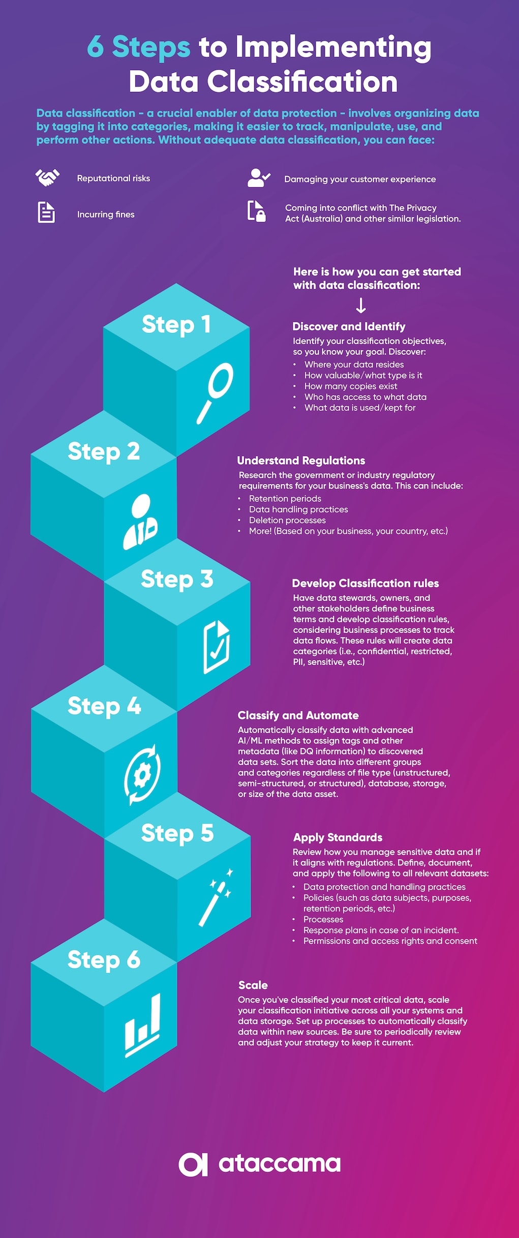 Data Classification Infographic