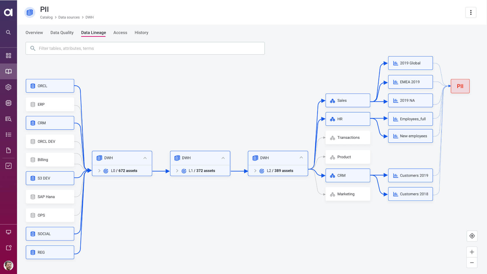 Business term lineage for the ‘PII’ term